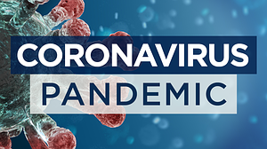 2020 Pandemic 2020 Pandemic