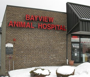 BayviewAnimalHospital.jpg
