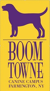 Boom-Towne-Canine-Campus.jpeg