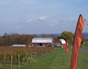 Cayuga Ridge Winery.jpg