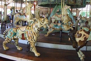 carousellioncat.jpg