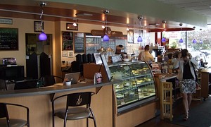 rwearthtones1x800.jpg