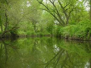 Irondequoit  Creek in   Ellison Park.jpg