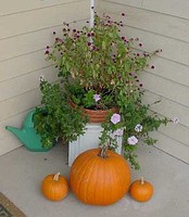 pumpkinsflowers.jpg