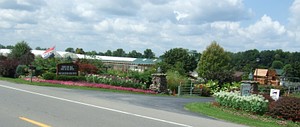 grossmans2x800.jpg