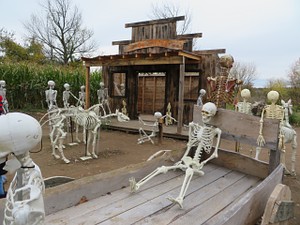 HopewellSkeltons-01.jpg