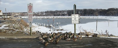 IrondequoitBayWinter1.jpg