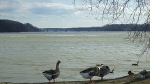 IrondequoitBayWinter1x800.jpg