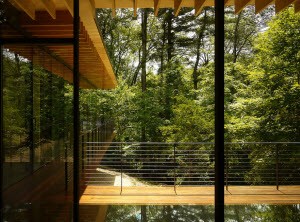 contemporary-railing.jpg