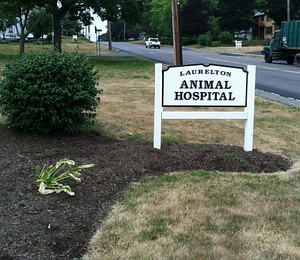 animalHospital.jpg