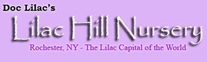 LilacHillNursery.jpg