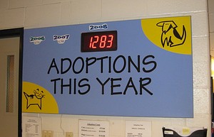 Adoption.jpg