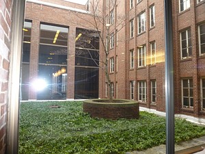 Courtyard.JPG