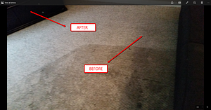 RochesterCarpetCleaning.png