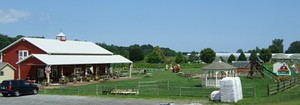 wickkhamfarm2x800.jpg