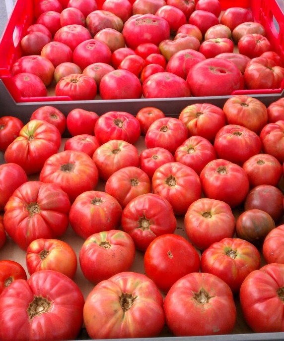 plattetomatoes.jpg