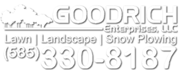 lawn-landscaping-company.png