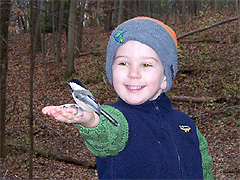 feeding_chickadees.jpg