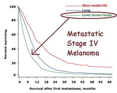 MelanomaSurvivalStageIVLBB.gif