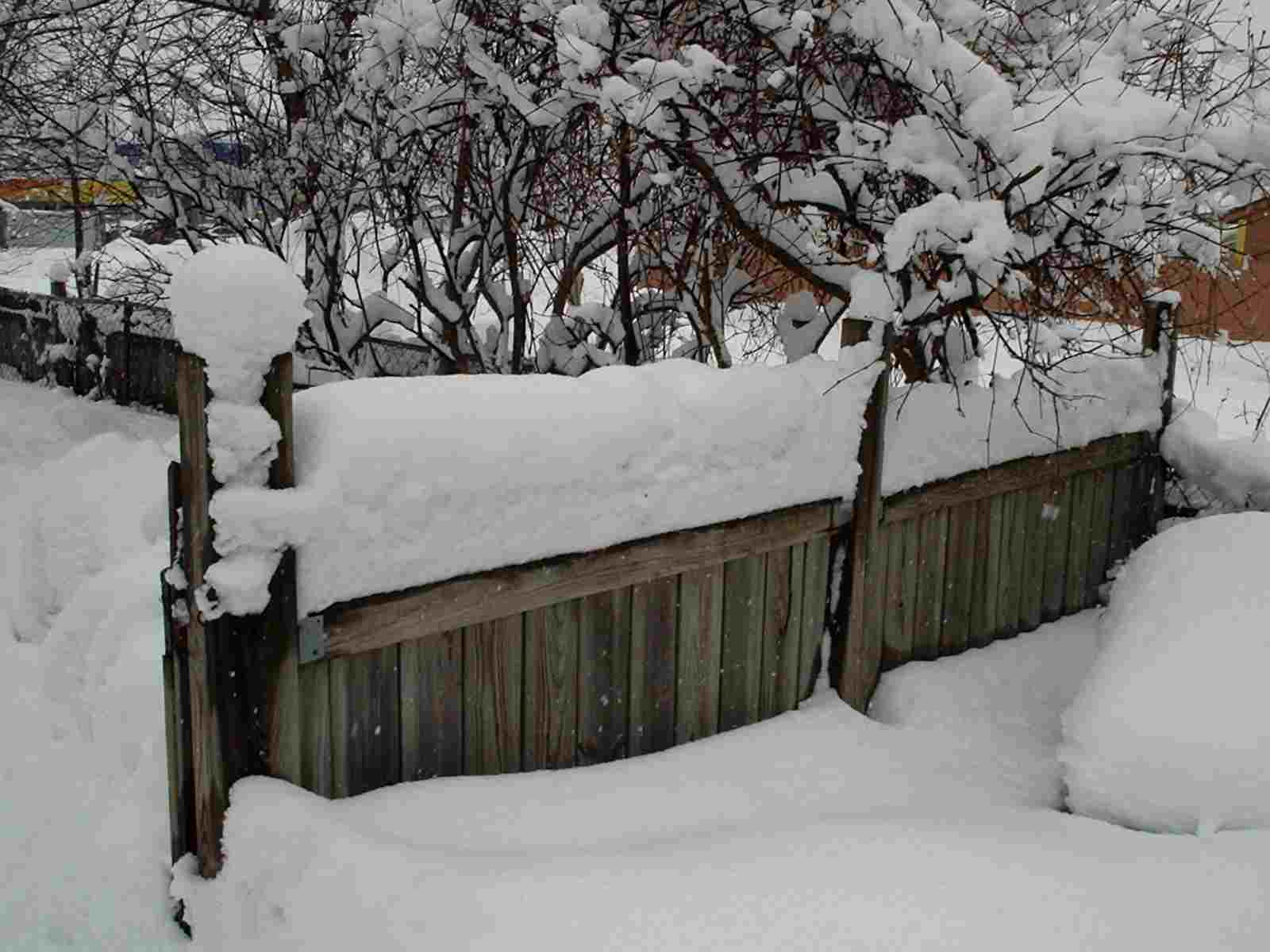 Snow in backyard 20100227.jpg